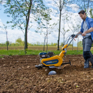 garden maintenance