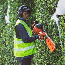 ECHO Hedge Trimmer HCS-3810ES